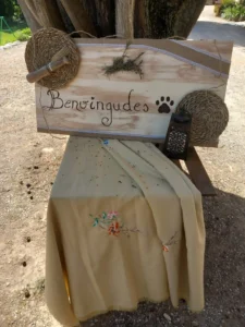 benvingudes.37.24